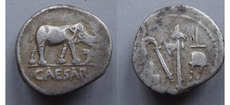 Caesar elephant! MUST HAVE (JA2025)