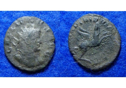 Gallienus -  Pegasus legioensmunt ZELDZAAM (MA1830)