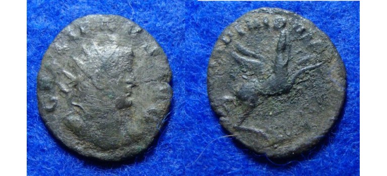 Gallienus - PEGASUS legonary issue RARE! (MA1830)