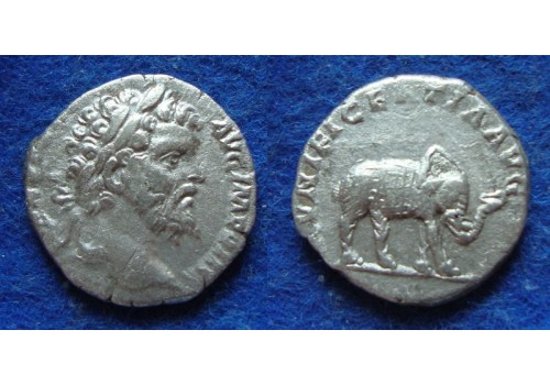 Septimius Severus - OLIFANT schaars (AU1910)