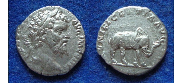 Septimius severus - ELEPHANT (AU1910)