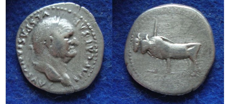 Vespasian - OXEN (ME1911)