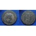 CARINUS - CLEMETIA TEMP (ME1922)
