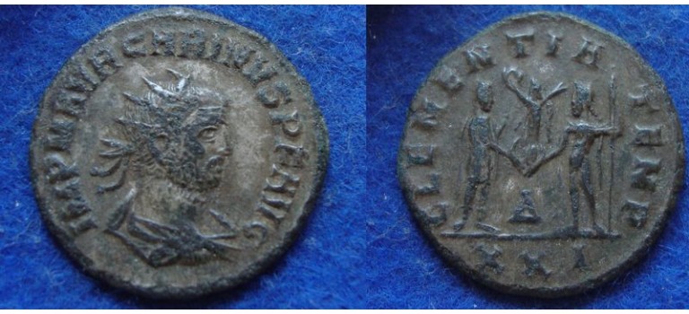 CARINUS - CLEMETIA TEMP (ME1922)