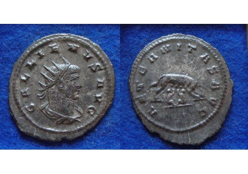 Gallienus -  Remus en Romulus en wolvin, niet in RIC! (ME1926)