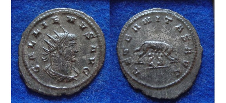 Gallienus - Remus and Romulus she-wolf not in RIC! (ME1926)