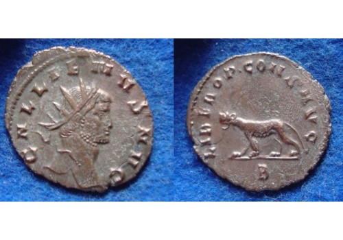 Gallienus-  Tijgerin 'Zoo-serie' (MA1903)