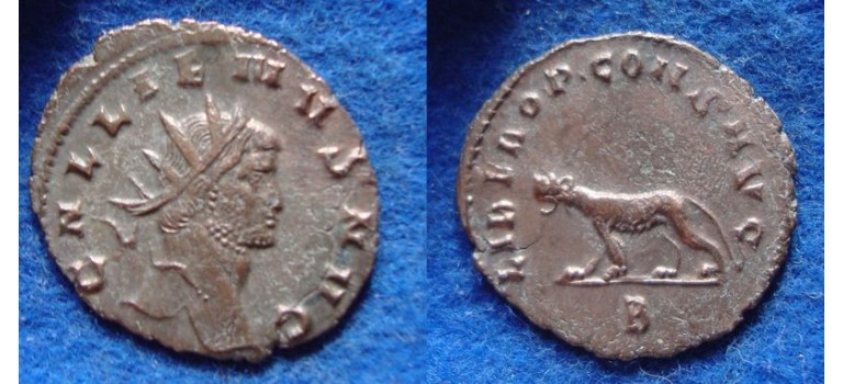 Gallienus -  Tigress 'Zoo-serie' (MA1903)