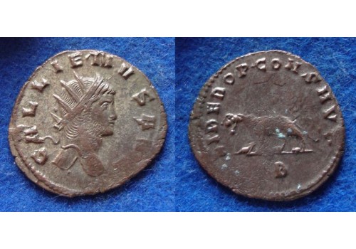 Gallienus-  Tijgerin 'Zoo-serie' (MA1904)