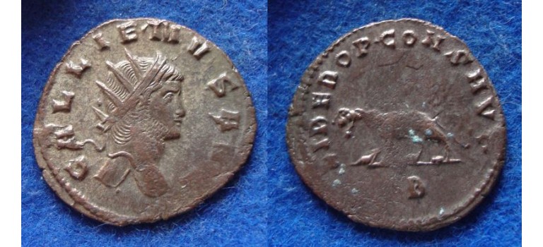 Gallienus -  Tigress 'Zoo-serie' (MA1904)