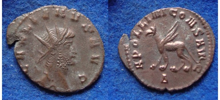 Gallienus-  Griffioen 'Zoo-serie' (MA1906)