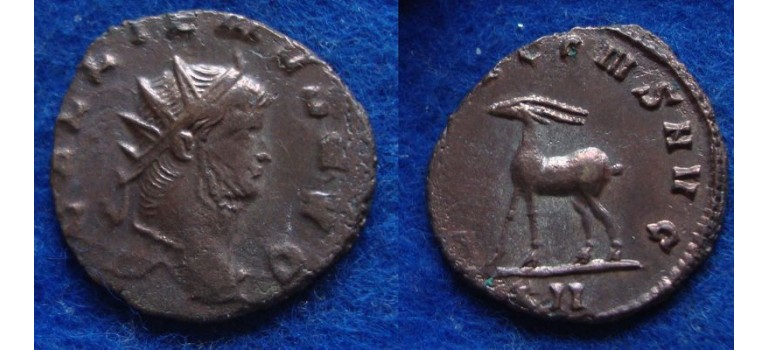 Gallienus-  Gazelle 'Zoo-serie' (MA1922)