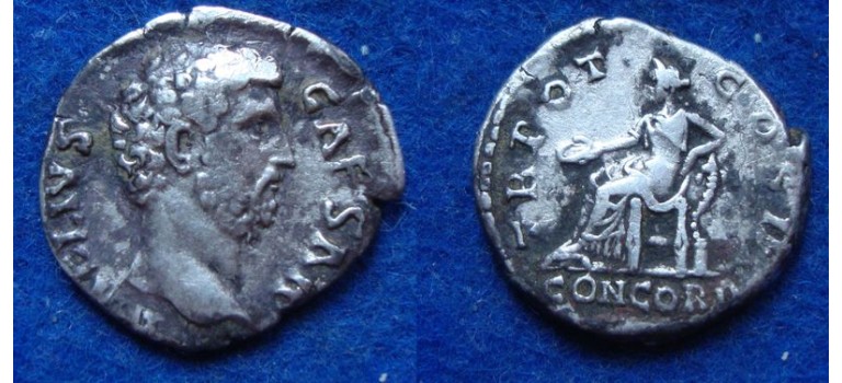 Aelius - zeldzame Caesar CONCORDIA (MA1928) Aelius - zeldzame Caesar CONCORDIA (MA1928)