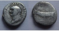 Vespasianus - OSSEN! (JA21121)