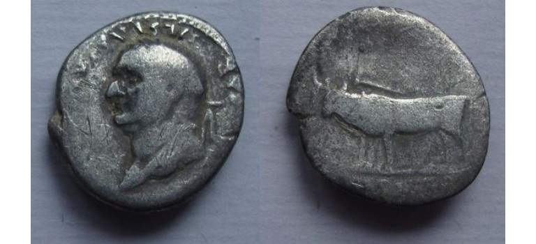 Vespasian - OXEN (JA21121)