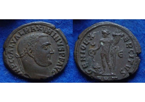 Maximinus II - Genio Impertoris  (D1866)