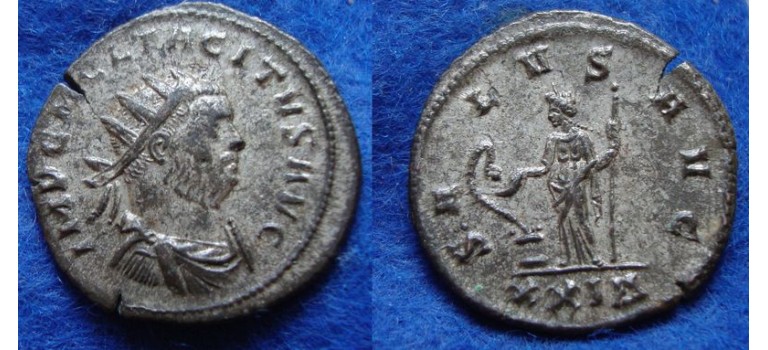 Tacitus - SALVS (F1918)