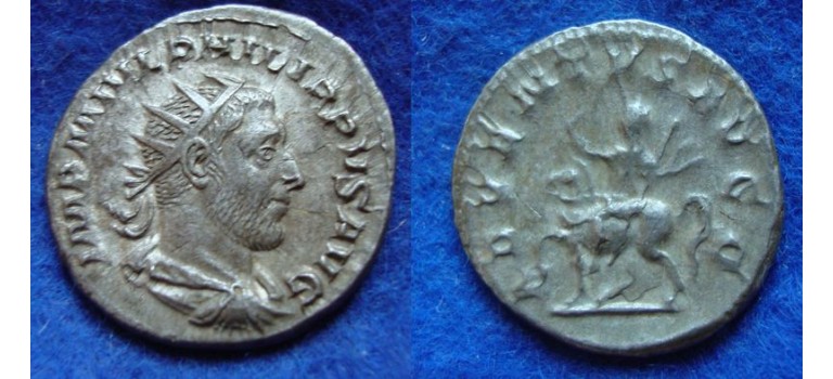 Philippus I - ADVENTUS (F1936)
