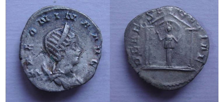 Salonina - DEAE SEGETIAE zeldzame godin! (F2171) Salonina - DEAE SEGETIAE zeldzame godin! (F2171)