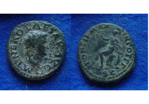 Nero - SEMIS Roma schaars! (AP1817)