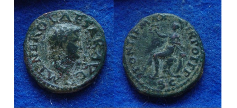 Nero - SEMIS Roma schaars! (AP1817)