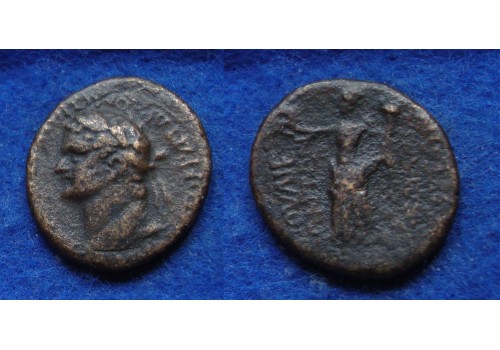 Domitianus- Tyche (MA1838)