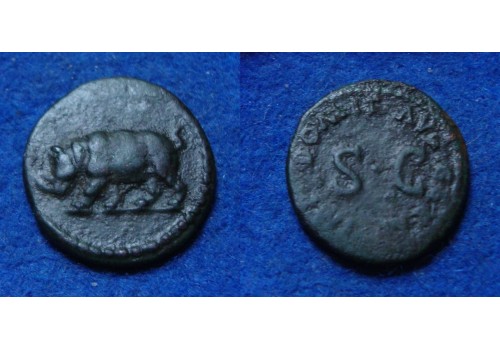 Domitianus - Quadrans Neushoorn populair type! (ME1825)