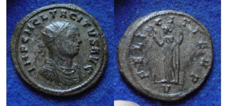 Tacitus - FELICIT TEMP! (N1821)