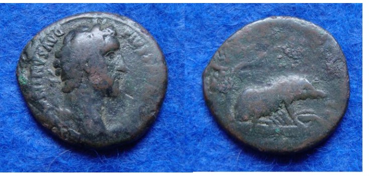 Antoninus Pius - Sow with piglets RARE! (N1831)