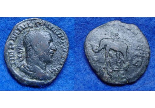 Philippus I - Olifant met drijver! (N1835)