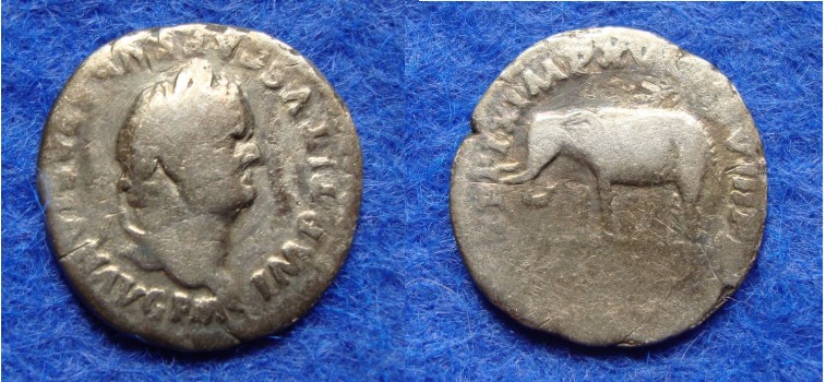 Titus - Olifant zeldzaam (O1851)