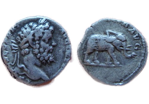 Septimius Severus - OLIFANT schaars (AU1761)
