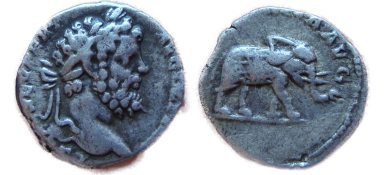 Septimius Severus - OLIFANT schaars (AU1761)