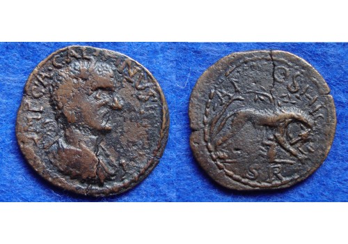 Gallienus -  Pisidia LUPA ROMANA met Remus en Romulus (au2016)