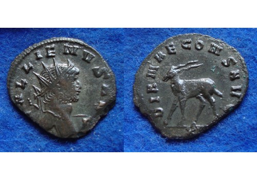 Gallienus-  Antilope 'Zoo-serie' (F1813)