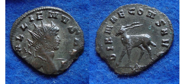 Gallienus - Zoo series Antilope (F1813)