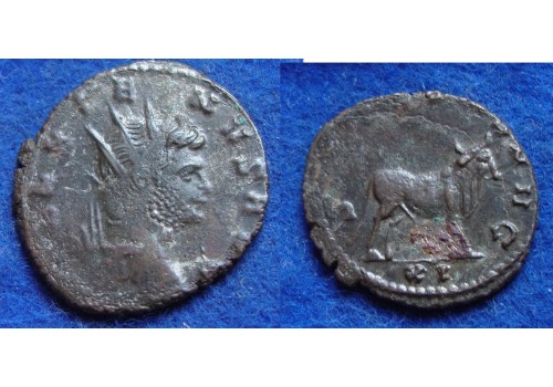 Gallienus -  STIER  'Zoo-serie' (F1817)