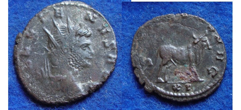 Gallienus - Bull!  (F1817)