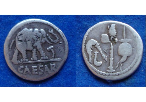 Julius Caesar denarius OLIFANT gezocht! (JA1833)