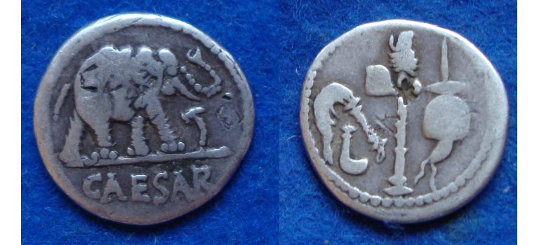 Caesar elephant! MUST HAVE (JA1833)