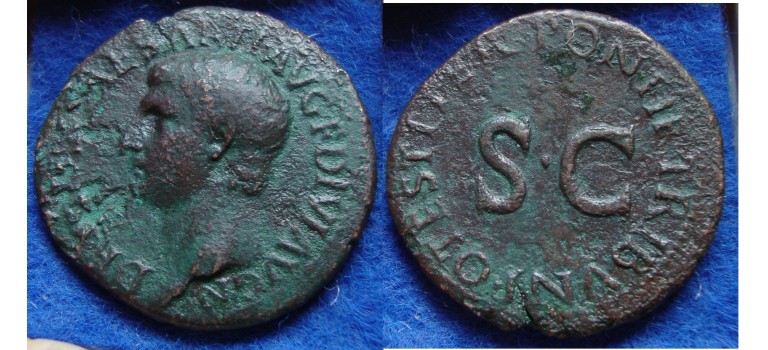 DRUSUS AS - schaarse munt (JA1848)