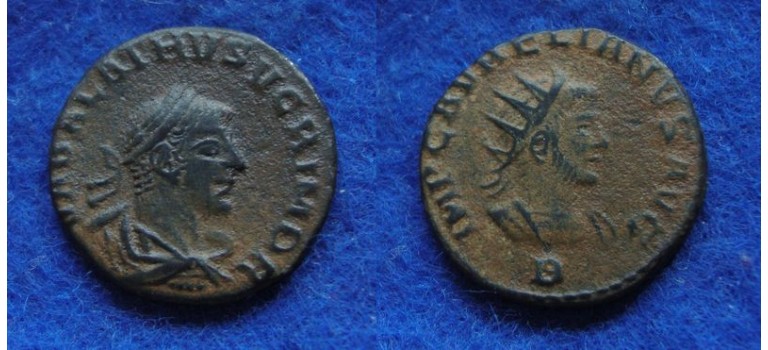 Vabalathus scarce (JUN1834)