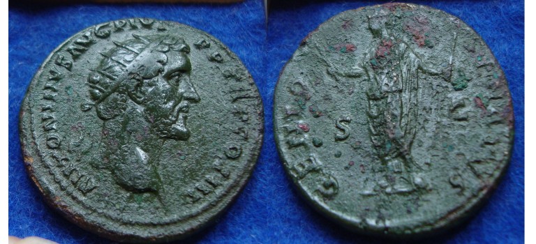 Antoninus Pius- GENIO SENATVS dupondius!   (MA1834)