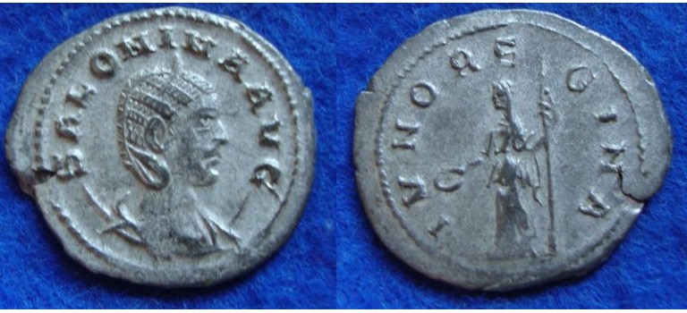 Salonina - IVNO REGINA silvered (S1813)