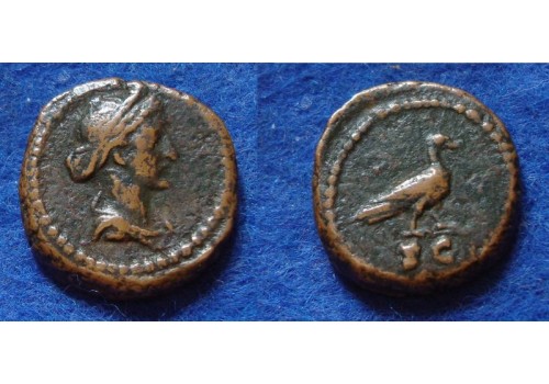 Antoninus Pius - anonieme quadrans met duif en venus, interessant (Au1802) 