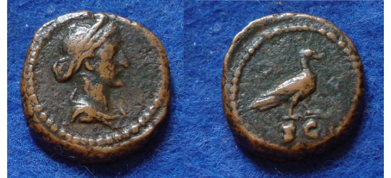 Antoninus Pius - anonieme quadrans met duif en venus, interessant (Au1802)