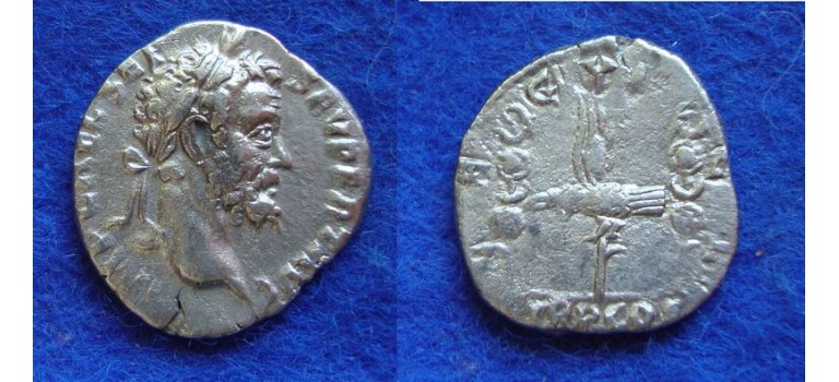 Septimius Severus - Legioendenarius LEG XI schaars (JUL1804)