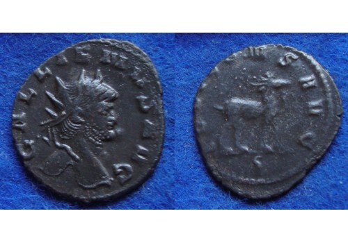 Gallienus -  GEIT ZOO-serie (F1812)