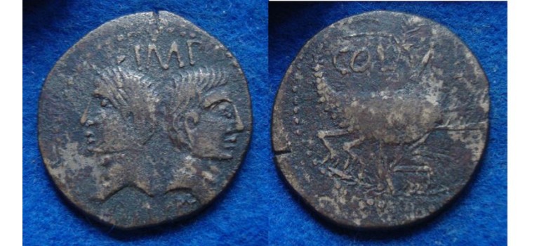 Augustus and Agrippa AS crocodile dupondius SCARCE  (S1930)