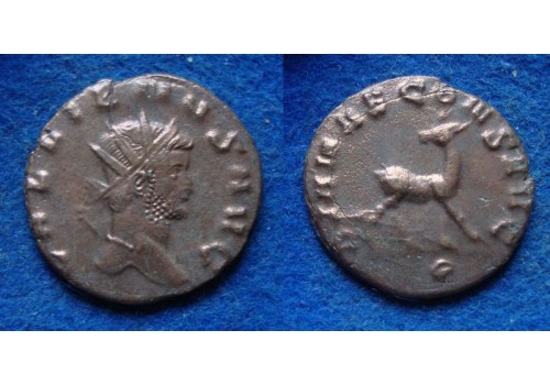 Gallienus - Hinde 'Zoo-serie' (s1959) Gallienus - Hinde 'Zoo-serie' (s1959)
